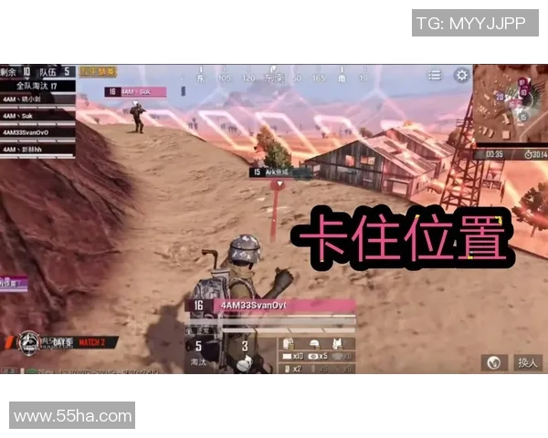 和平精英战术解析：深入探讨WE战队的控制与策略运用