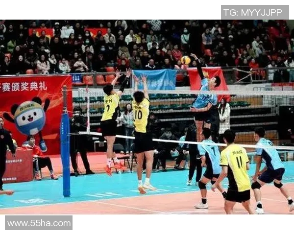 成都排球队配合变革引发热议展现团队精神与战术创新